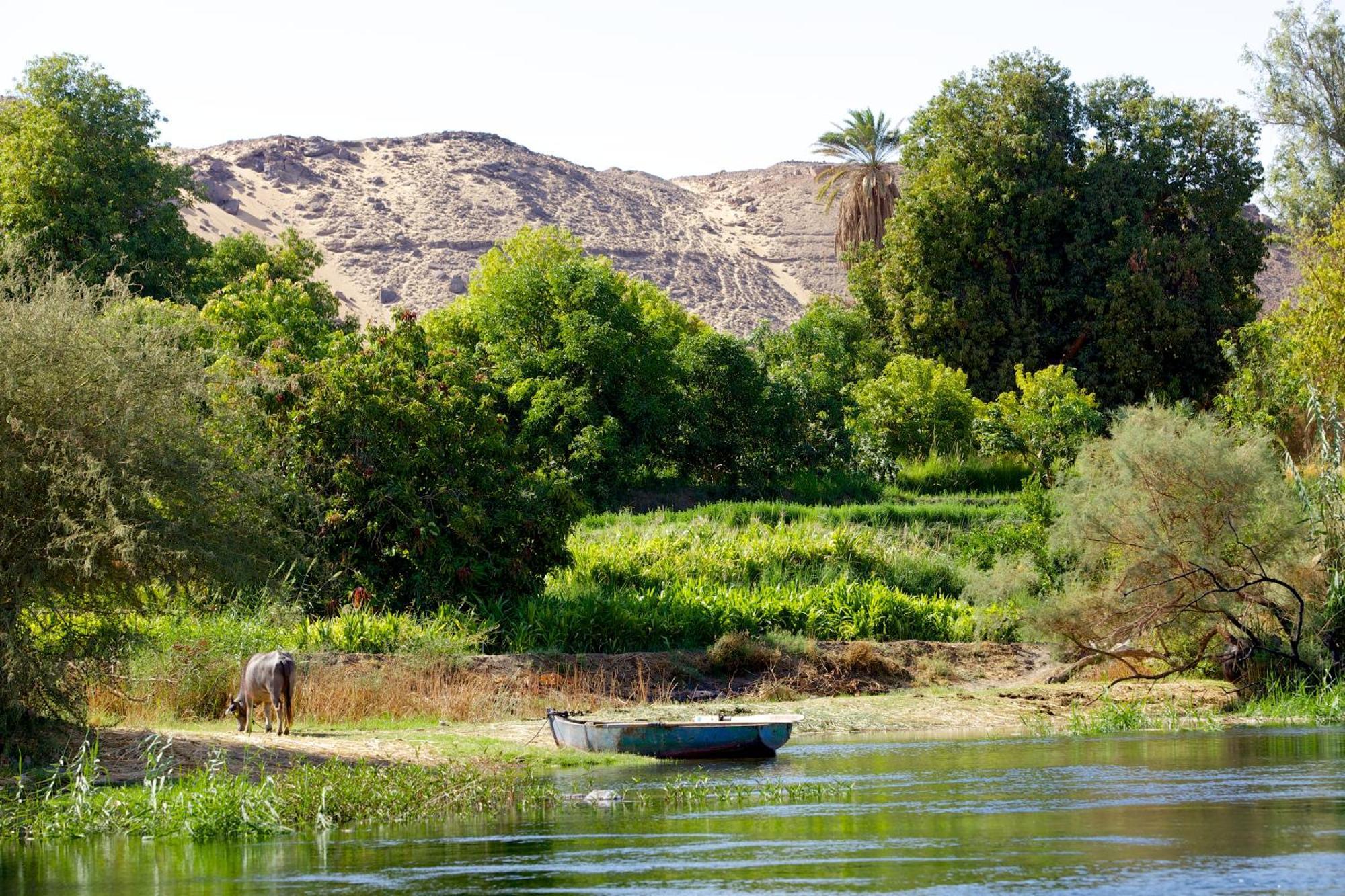 Hadouta Masreya Nubian Guest House อัสวาน ภายนอก รูปภาพ